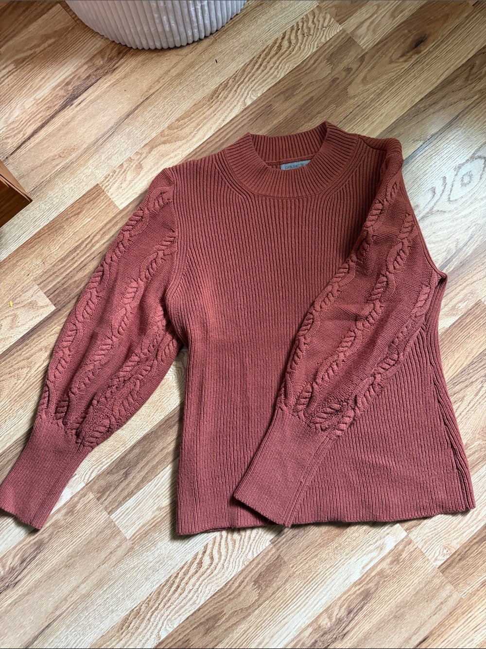 Women's Textured Cable-Sleeve Crewneck Sweater - Rust